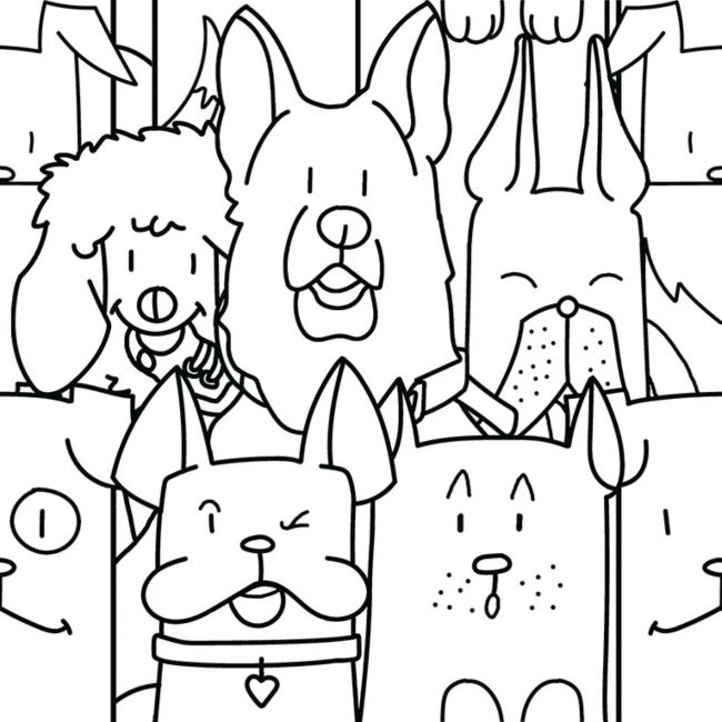 Oh-My-Dog-en-2rkz546RLXbR7QsJ