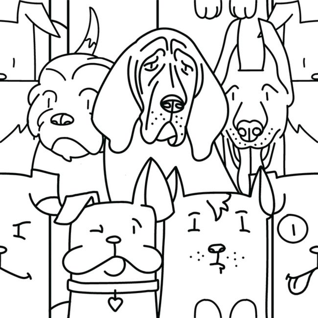 Oh-My-Dog-en-l7uFgTd0boi1AjuN