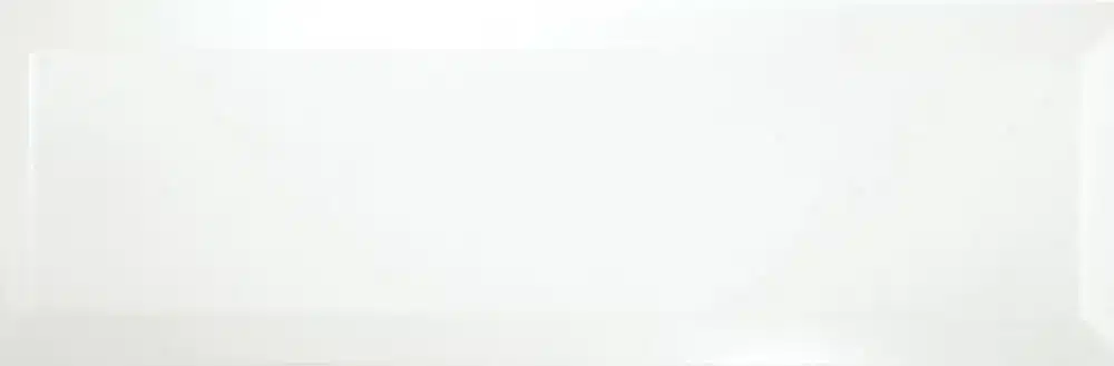 Bisel 10x30
