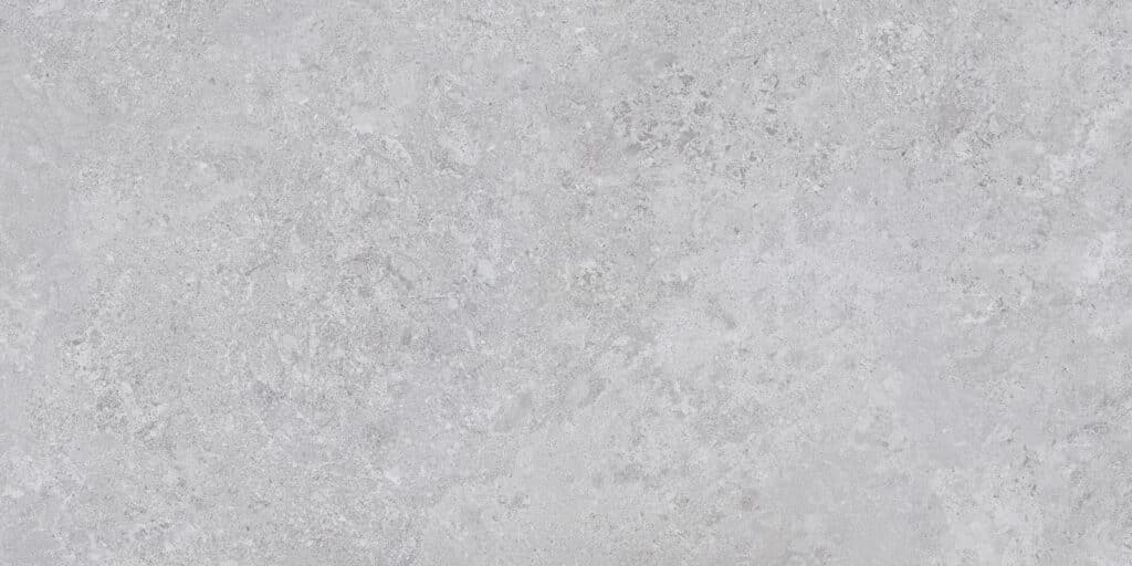 Borga Silver 60x120 REC