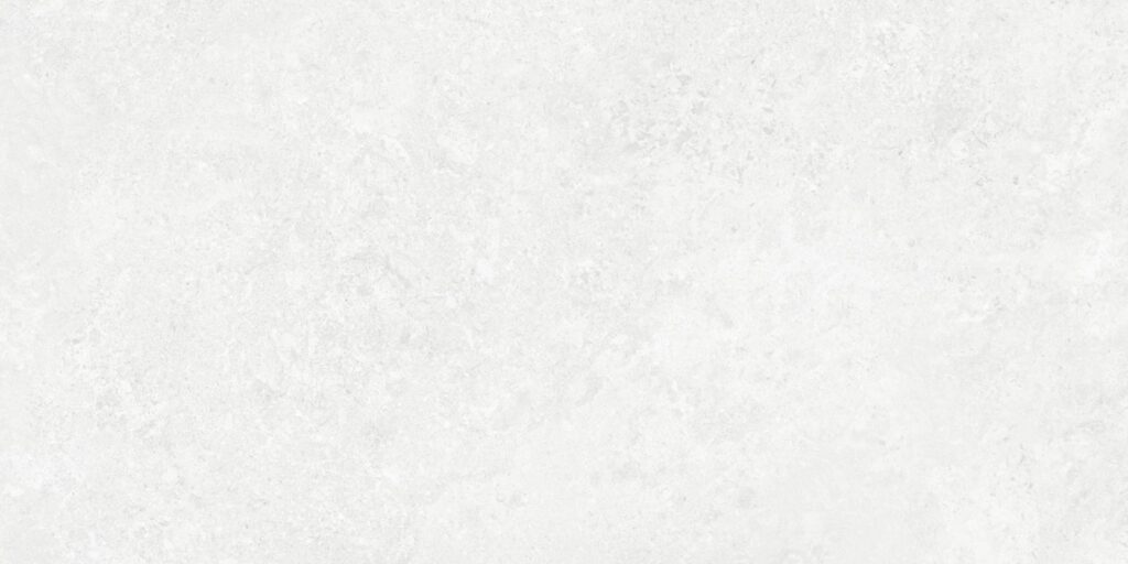 Borga White 60x120 20mm REC
