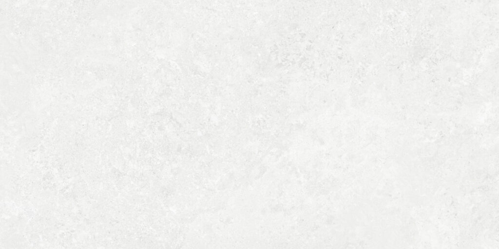 Borga White 60x120 REC