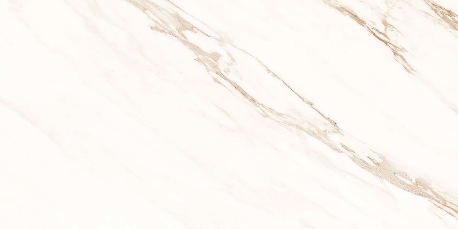 Lucca White 60x120(T)C