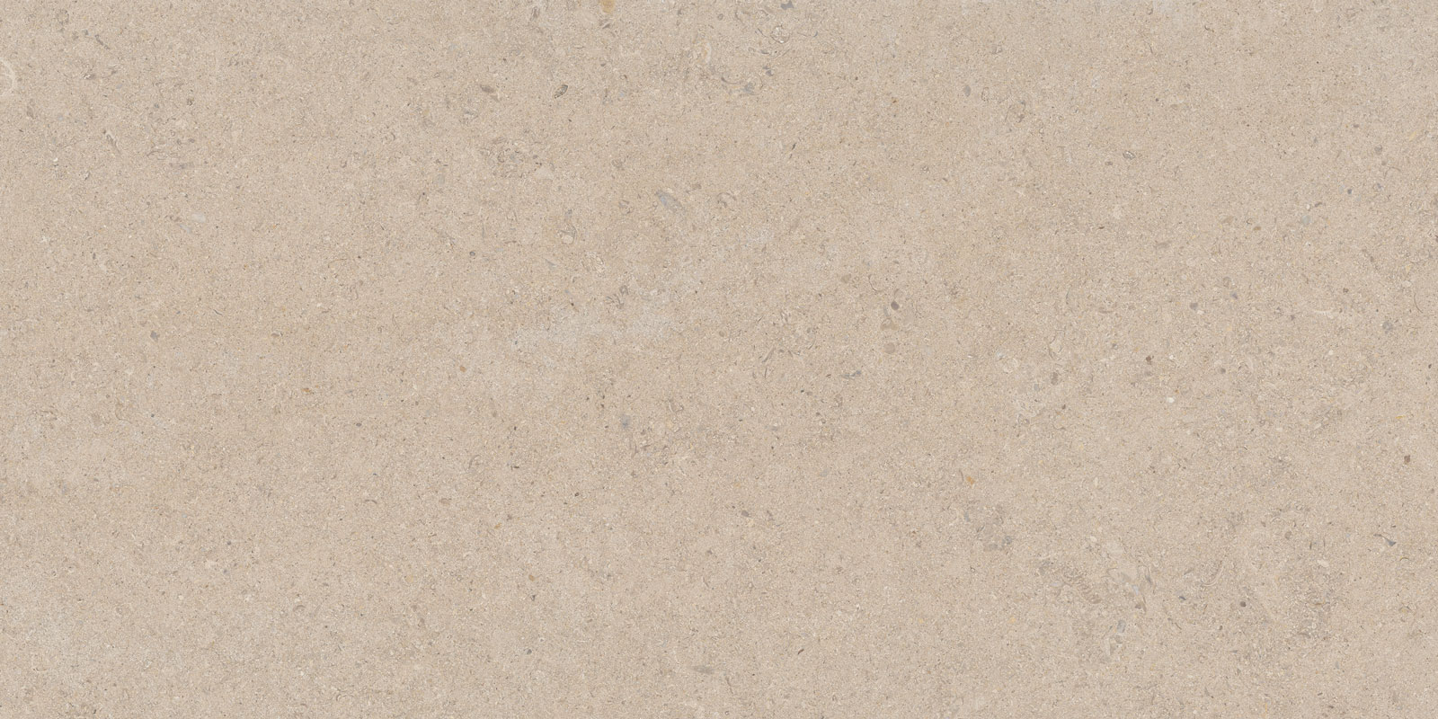 Calcare 60x120(T)C