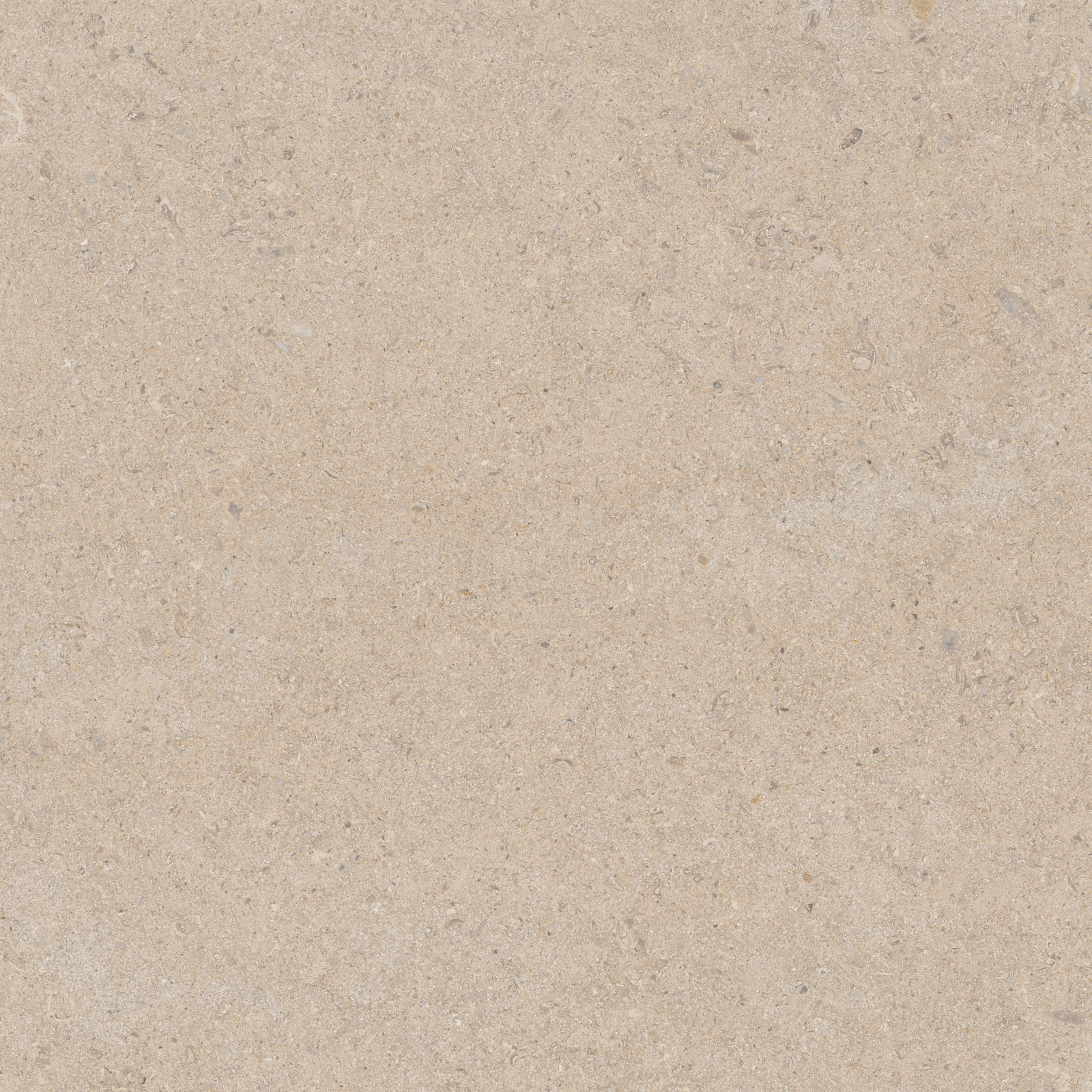 Calcare 60x60(T)C