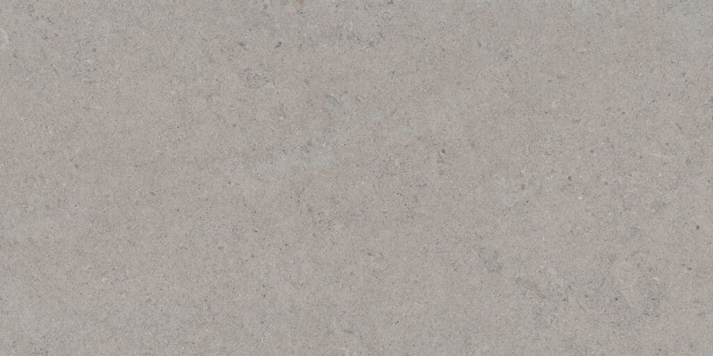 Calcare Silver 60x120(T)C BRU