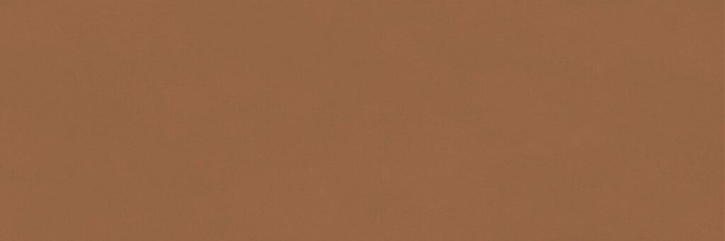 Chromatic Camel 33,3x100 REC