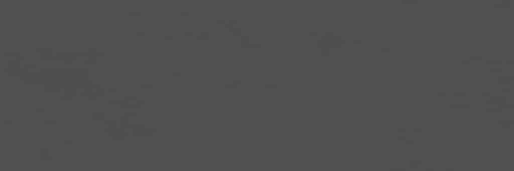 Chromatic Graphite 33,3x100 REC