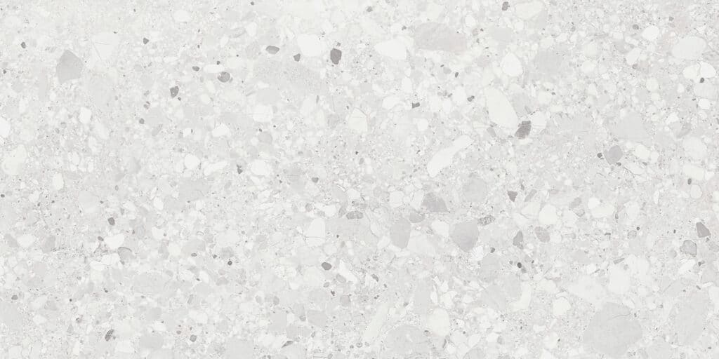 Clemon White 60x120 REC