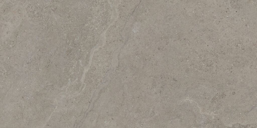 Dorset Greige 60x120 REC