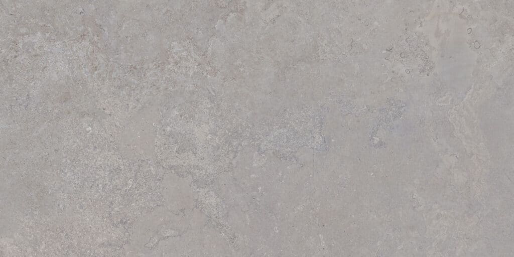 Dorset Silver 60x120 REC