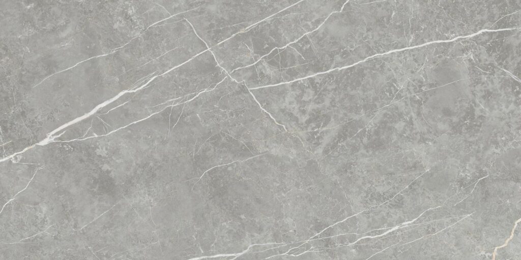 Elite Matt Gray 60x120 REC