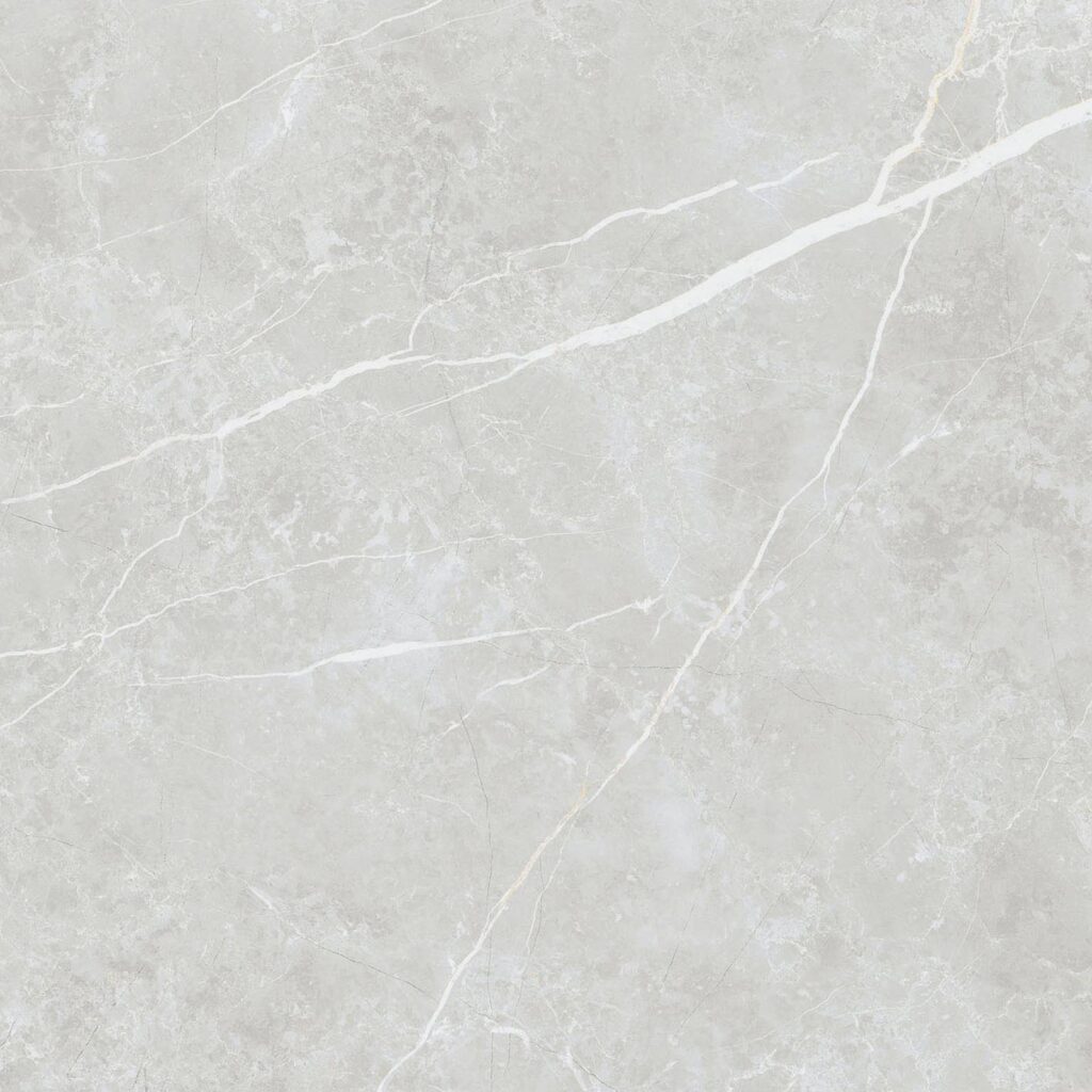 Elite Matt Silver 60x60 REC