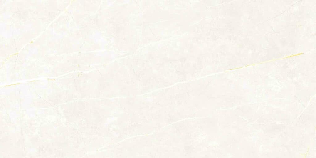 Elite Matt White 60x120 REC