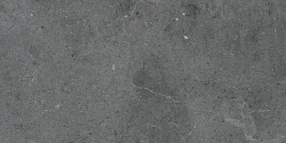 Serenastone Graphite 30x60 REC