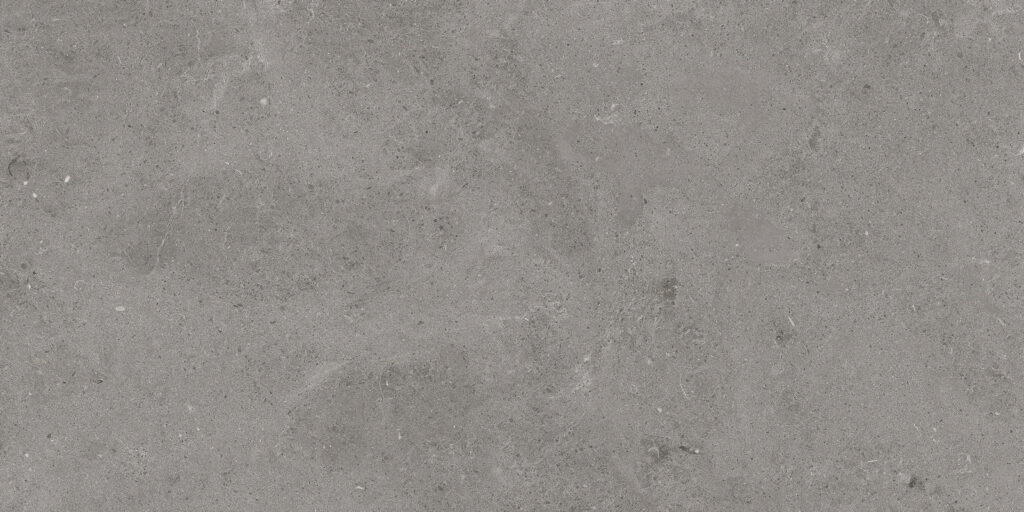 Serenastone Gray 60x120 REC