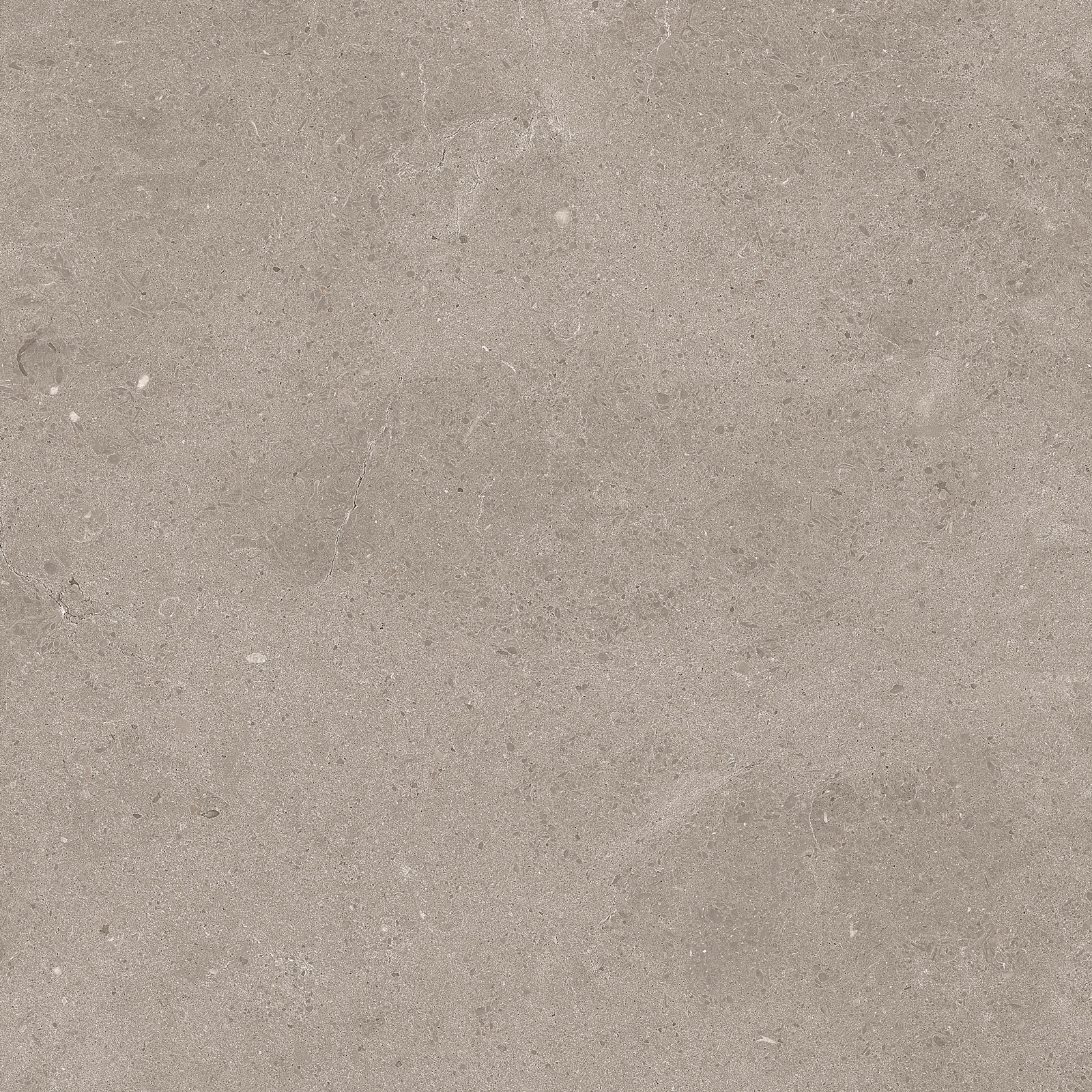 Serenastone 60x60