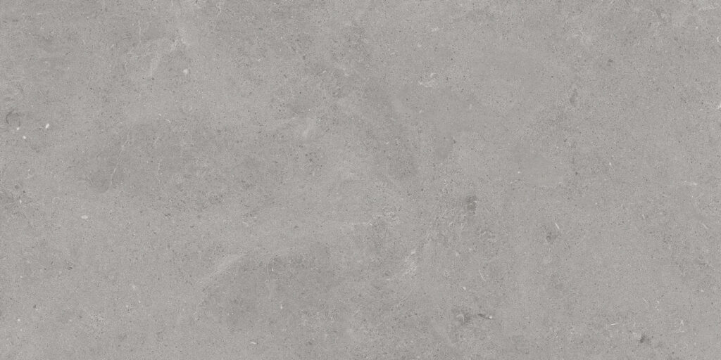 Serenastone Silver 60x120 REC