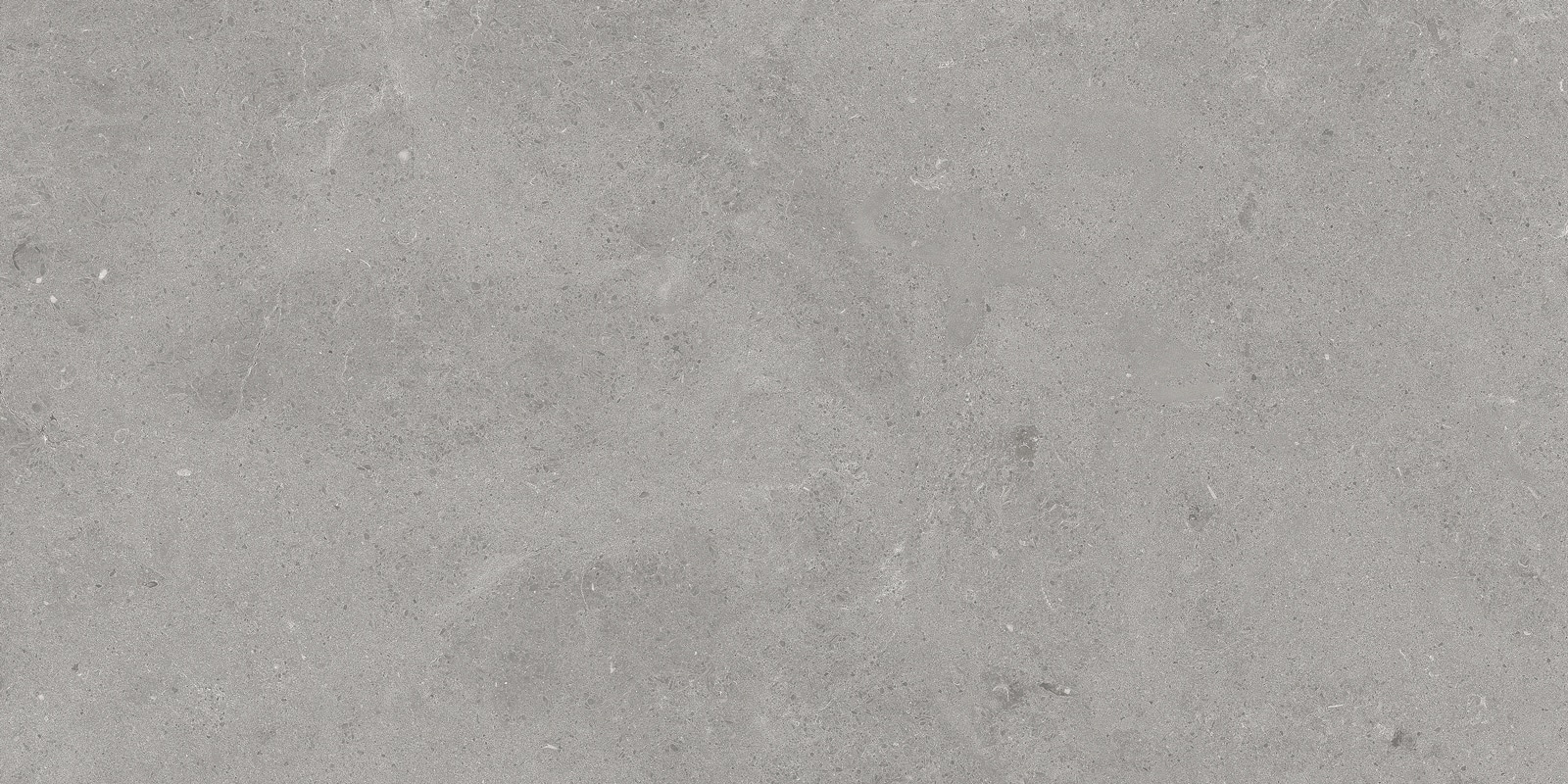 Serenastone 60x120
