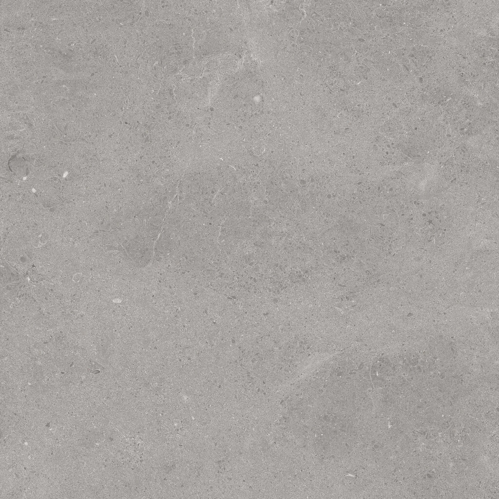 Serenastone Silver 60x60(C) REC