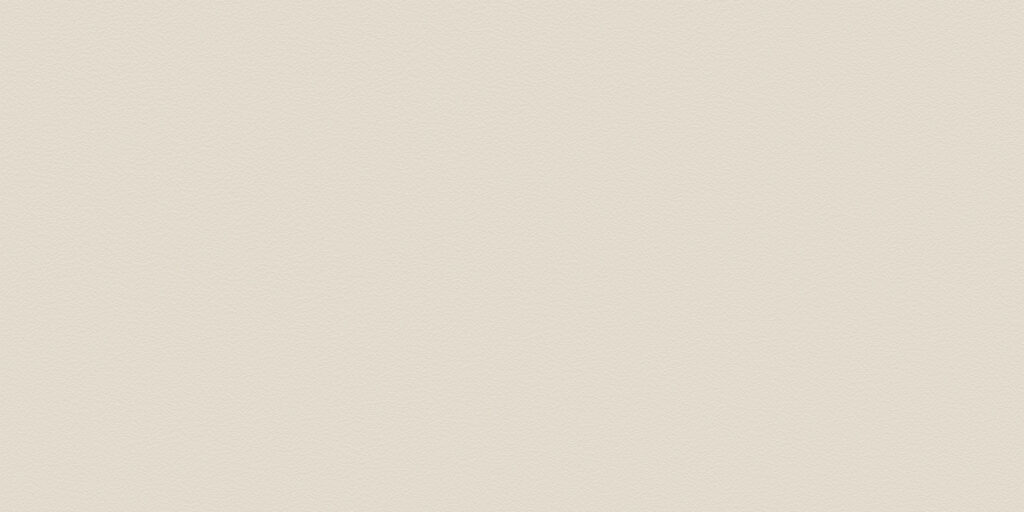 Zumaia White 30x60 REC