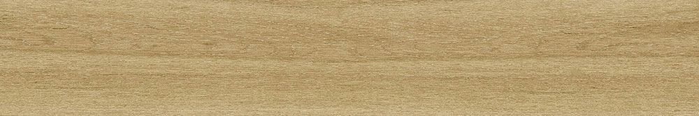 Islandia Arce 20x120