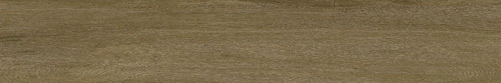 Islandia Nuez 20x120
